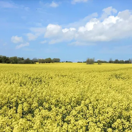 Σπίτι διακοπών Ae226-aeroskobing-risemarksvej-8 Ærøskøbing